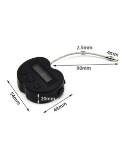 Cadeado Eletrônico E Temporizador BDSM Smart Time Lock