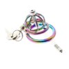 Cinto de Castidade Rainbow Cock Cage Stealth Lock Chastity Device