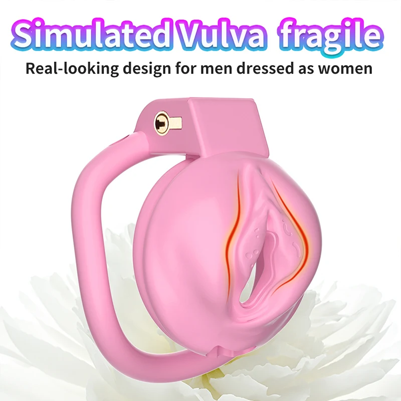 Sex Toys For Men Slave Training Chastity Lock Mesh Breathable Cock Ring hide Penis Abstinence from sexual activity Bondage Gay