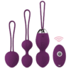 Kit Pompoarismo com vibrador bullet sem fio (2)