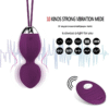 Kit Pompoarismo com vibrador bullet sem fio (6)