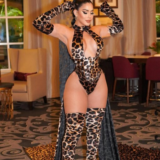 Bodysuit Leopardo Sexy com Luvas e Meias - Imagem 2