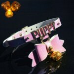 Gargantilha BDSM com Sino e Guia