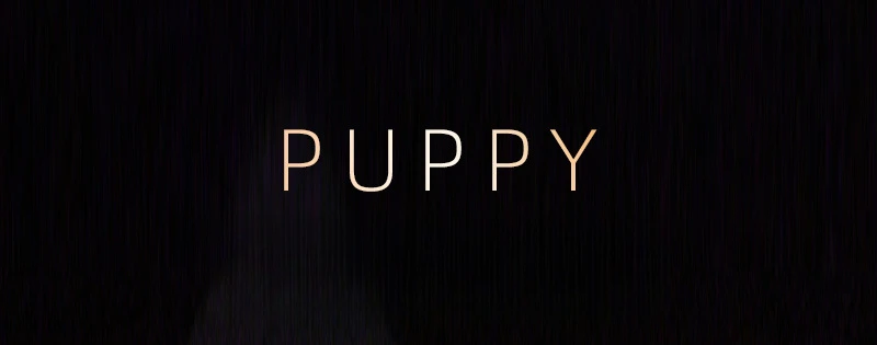 BDSM Choker with Glowing Bell Lead Rope Puppy Play SexToy for Women Couple Collar Bondage Harness Woman Accessories Sexy Cosplay