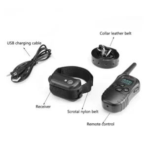 Self-bondage e brinquedos com controle remoto