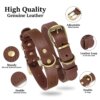 Coleira de Couro Genuíno Legítimo Dog Collar Pet Play Duplo D-Ring - Imagem 3
