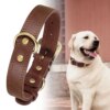 Coleira de Couro Genuíno Legítimo Dog Collar Pet Play Duplo D-Ring - Imagem 4