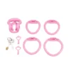 Kit completo rosa: gaiola, quatro anéis numerados, cadeado de latão e chaves