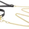 Conjunto completo com a coleira preta de O-ring dourado e a guia de corrente dourada com alça